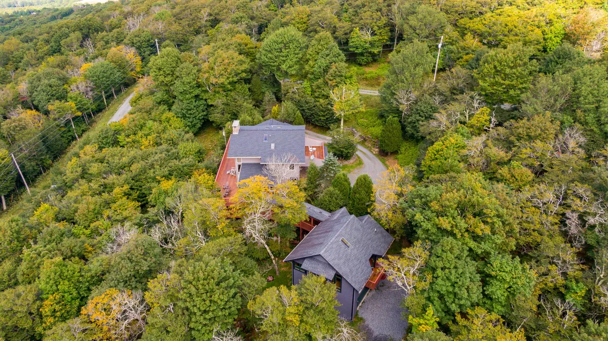 An inviting exterior view of the main house nestled among tall trees, with a winding driveway leading up to the property. The lush greenery and open space hint at ample room for outdoor exploration and relaxation, perfect for guests with dogs. The setting conveys a peaceful, natural environment atop the mountain.